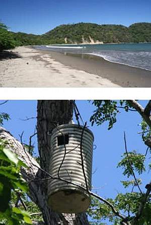 Curu beach and Macaw nest