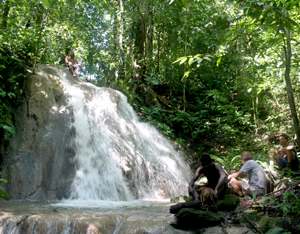 Incredible Waterfall at Rainsong Wildlife Sanctuary